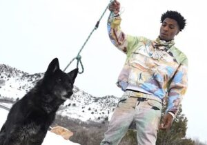 NBA YoungBoy Wolf Cry Mp3 Download